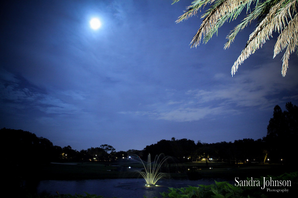 Best Country Club Of Orlando Wedding Photos - Sandra Johnson (SJFoto.com)